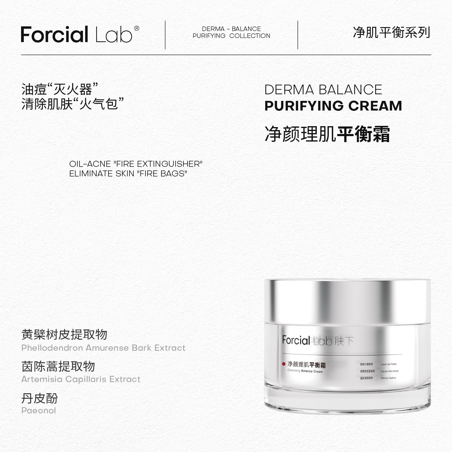 Derma Balance Purifying Cream
